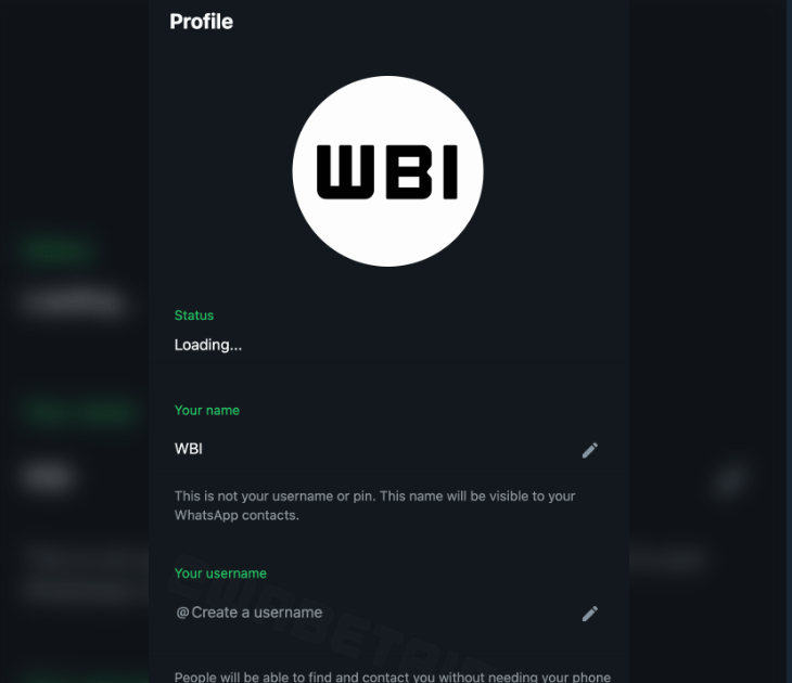 WhatsApp y la Innovación de los Nombres de Usuario